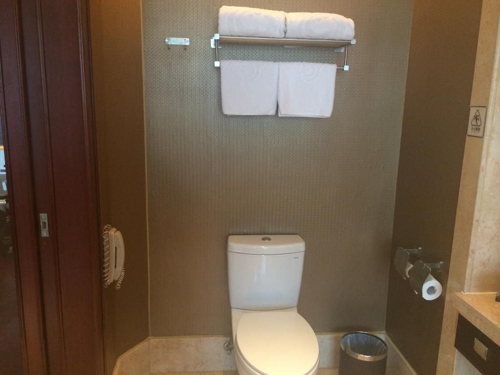 Shenzhen Baoan Royal International Hotel Rum bild